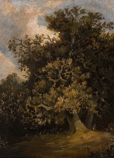 Oak Tree by Walter Scott